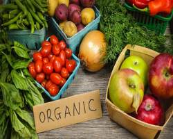 В чем польза органических продуктов?