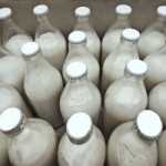Как организовать молочное производство